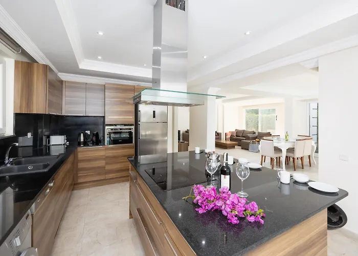 Four Seasons Vilă *